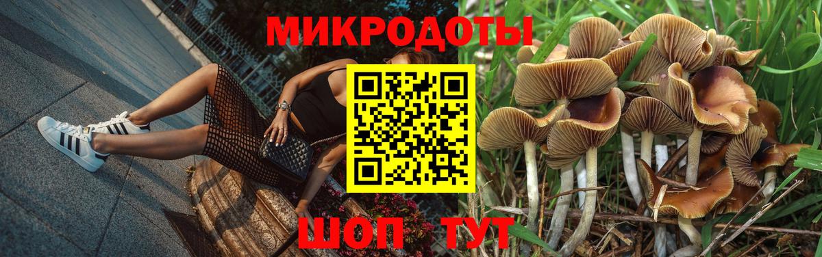 Псилоцибиновые грибы мицелий  Вход с VPN  Псилоцибиновые грибы Psilocybine cubensis  Нурлат 